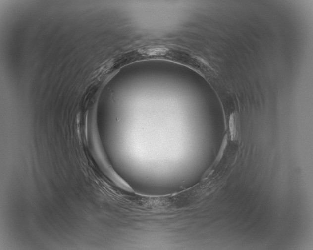 X0000057561443200509160951