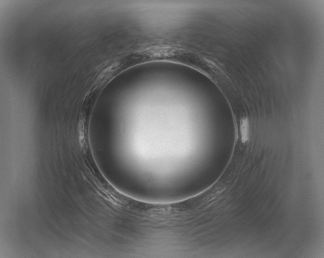 X0000057561444200509160951