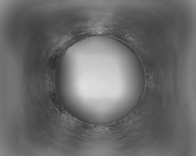 X0000057561446200509160951