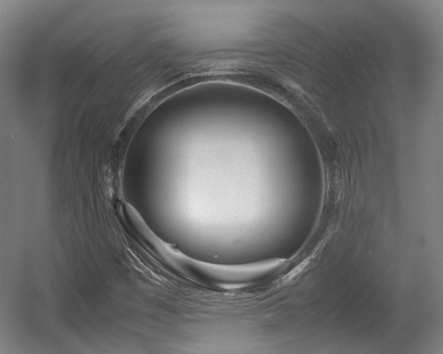 X0000057561449200509160951