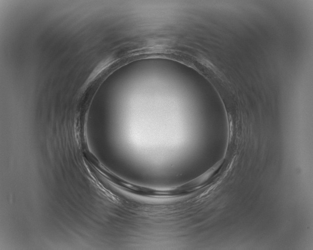 X0000057561450200509160951