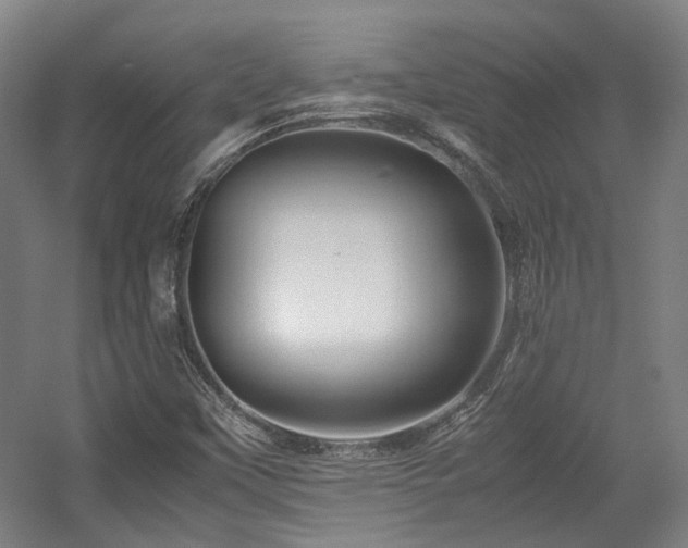 X0000057561451200509160951