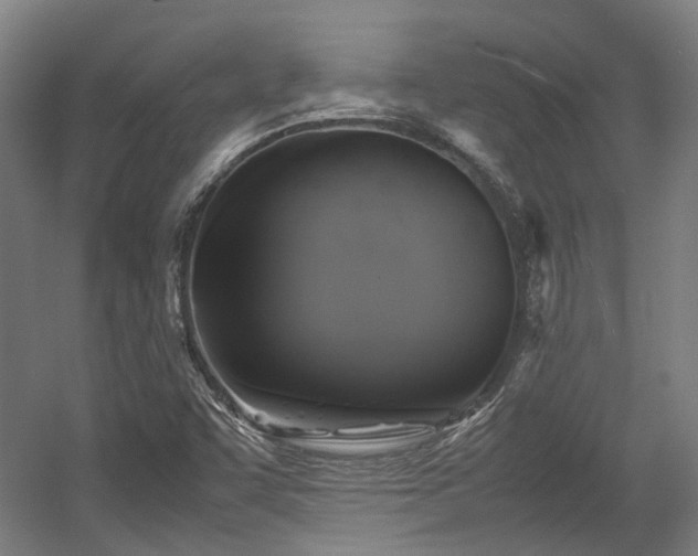 X0000057561455200509160951