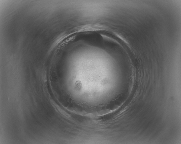 X0000057561459200509160950