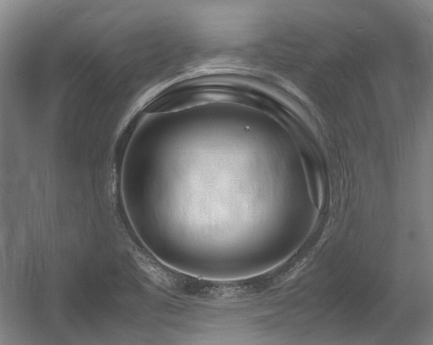 X0000057561461200509160950