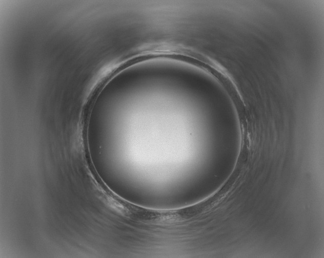X0000057561464200509160950