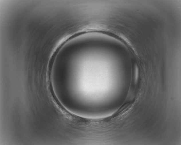 X0000057561469200509160950