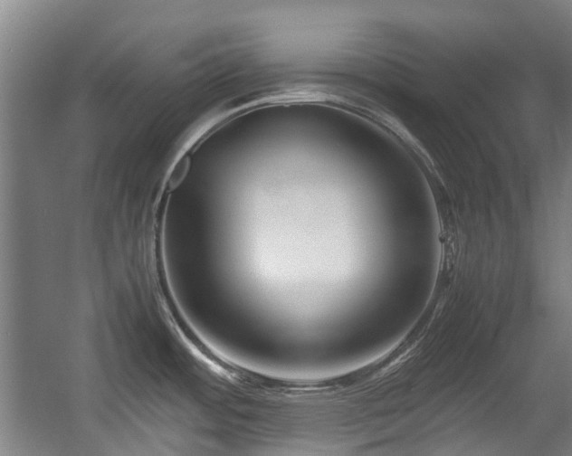 X0000057561484200509160950