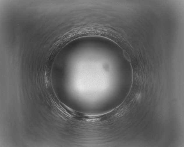X0000057561490200509160949