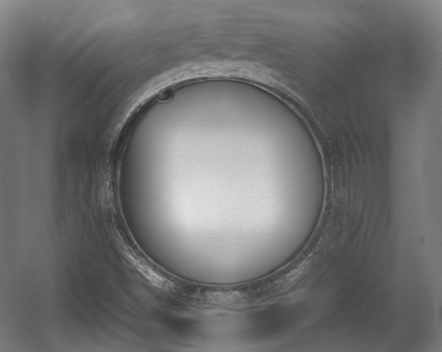 X0000057561498200509160949