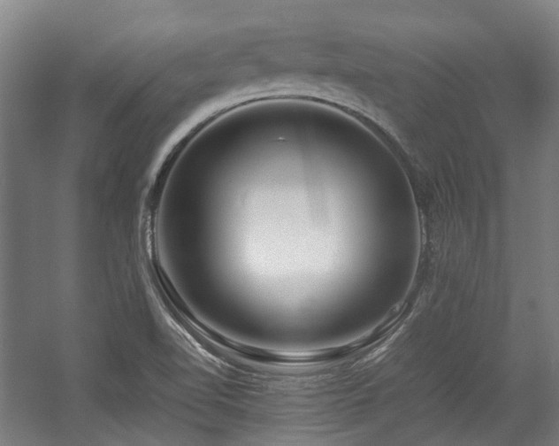X0000057561510200509160950