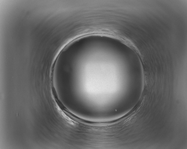 X0000057561532200509160950