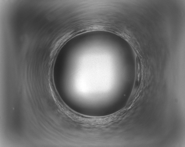 X0000057560001200509191434