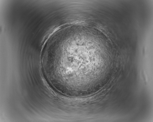 X0000057560002200509191434