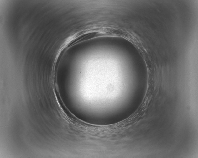 X0000057560003200509191434