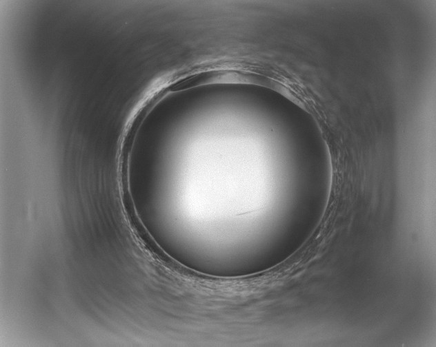X0000057560006200509191434