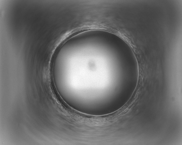 X0000057560008200509191434