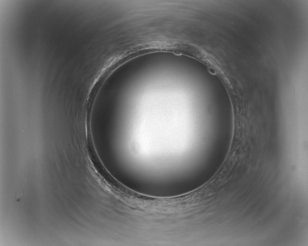 X0000057560011200509191434