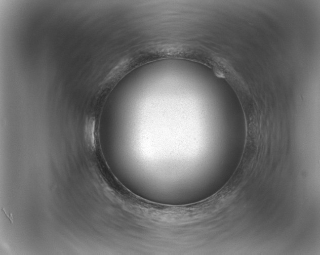 X0000057560024200509191433