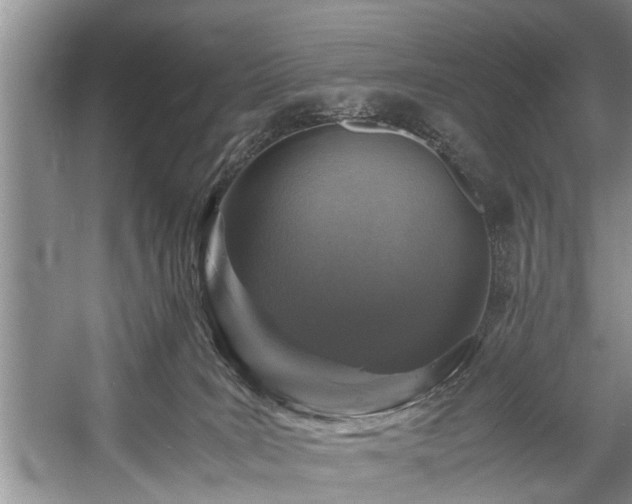 X0000057560035200509191433