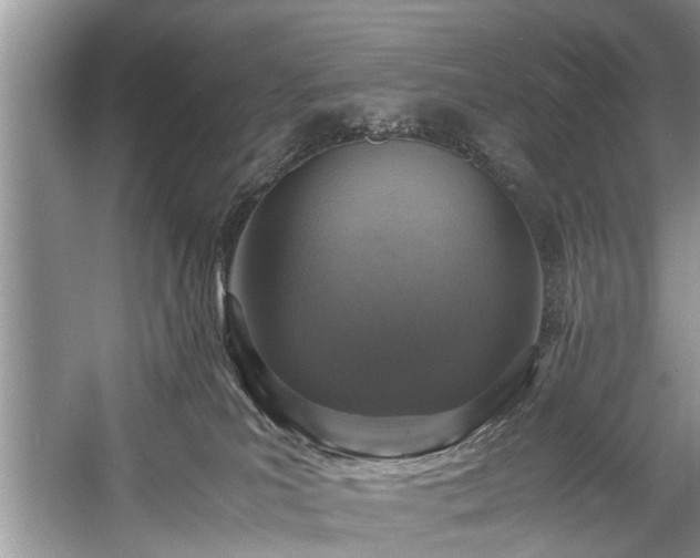 X0000057560039200509191433
