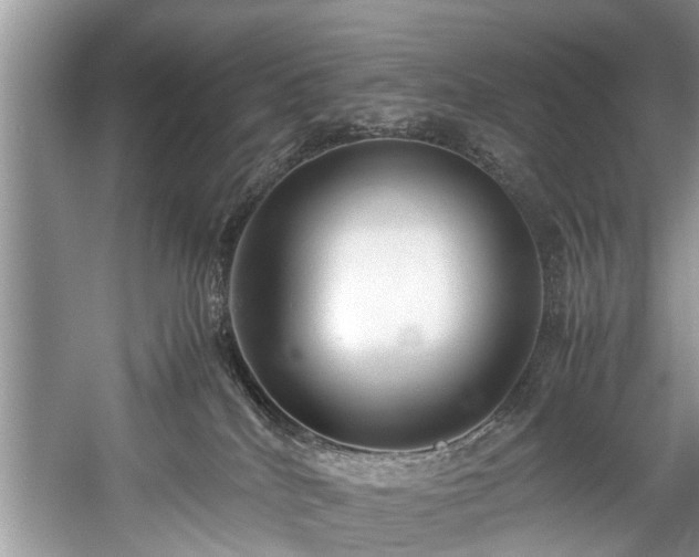 X0000057560040200509191433