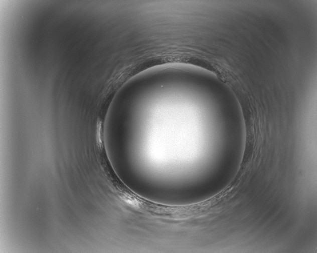 X0000057560041200509191433
