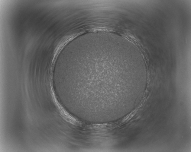 X0000057560049200509191432