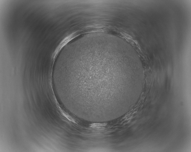 X0000057560051200509191432