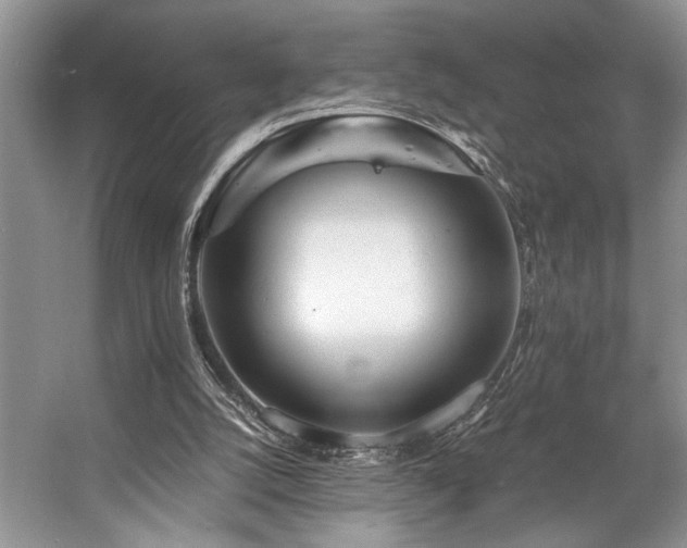 X0000057560056200509191432