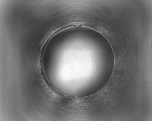 X0000057560098200509191432