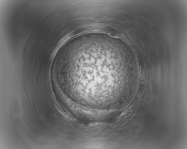 X0000057560099200509191432