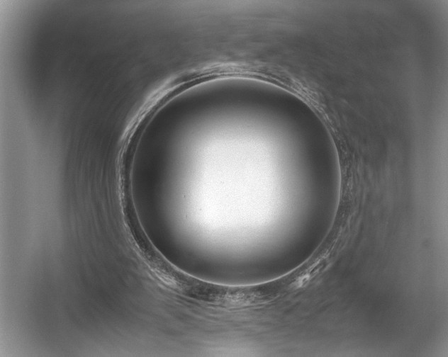 X0000057560103200509191432