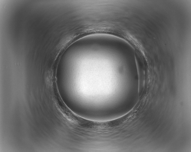 X0000057560107200509191432