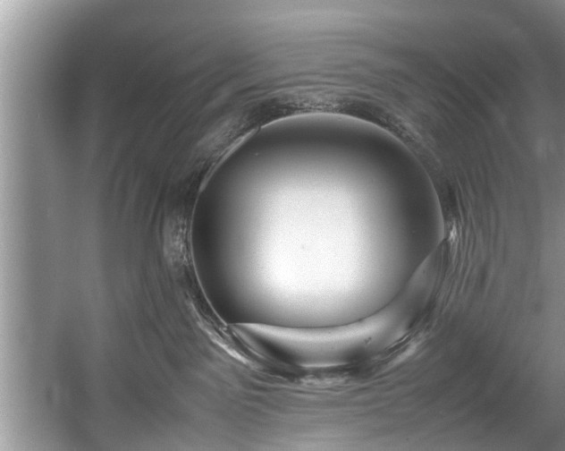 X0000057560141200509191431