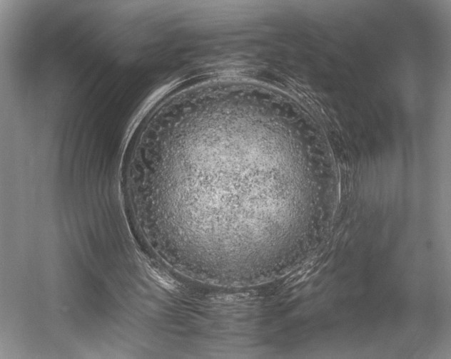X0000057560147200509191431