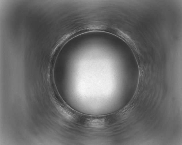 X0000057560155200509191431