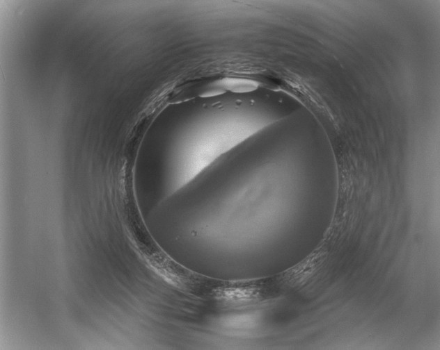 X0000057560163200509191431