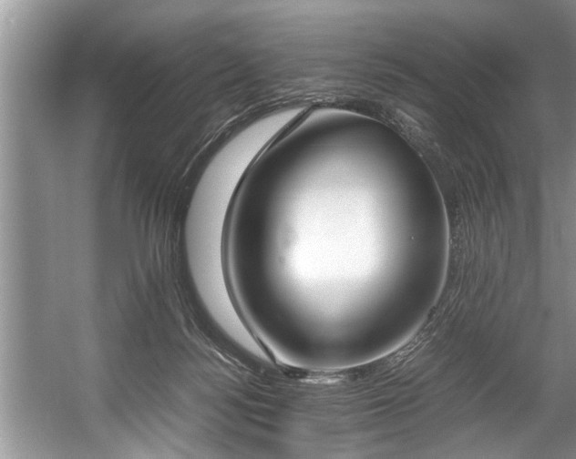 X0000057560172200509191431