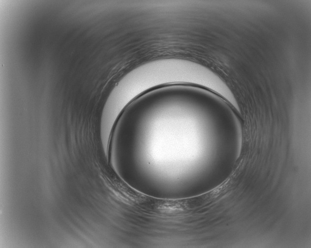 X0000057560175200509191431