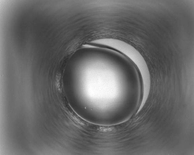 X0000057560185200509191431