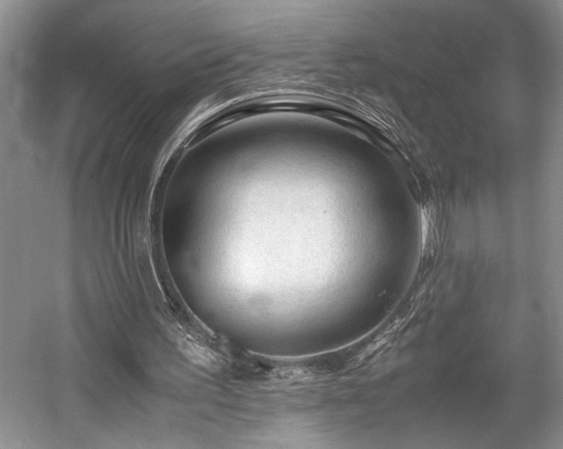 X0000057560195200509191430