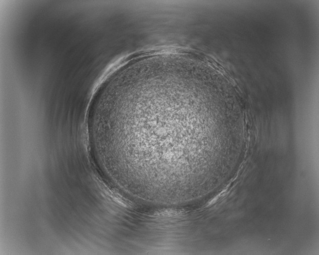 X0000057560198200509191430