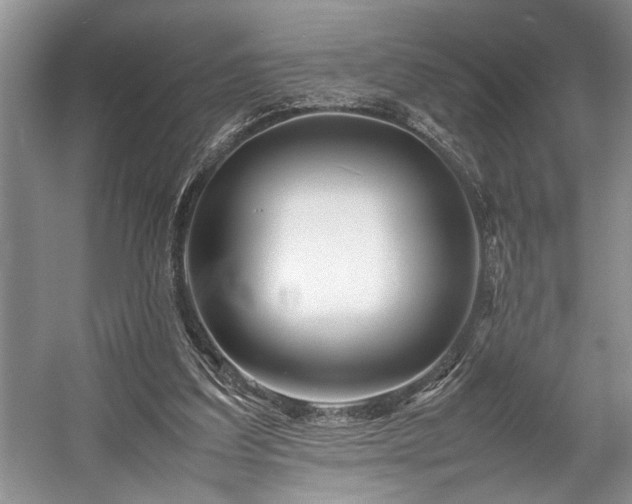 X0000057560203200509191430