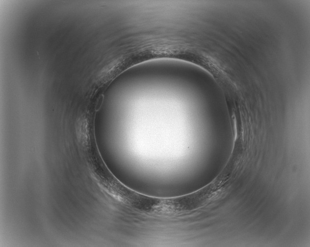 X0000057560211200509191430