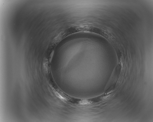 X0000057560231200509191430