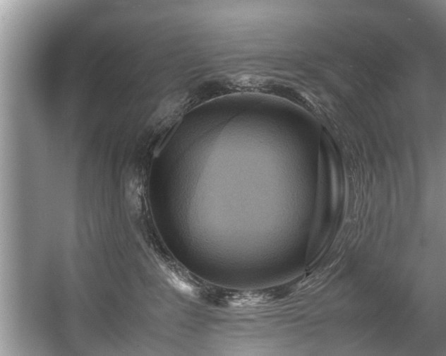 X0000057560235200509191430