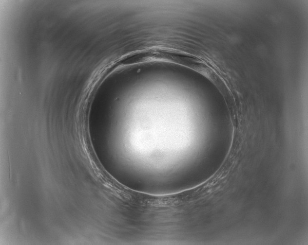 X0000057560241200509191429