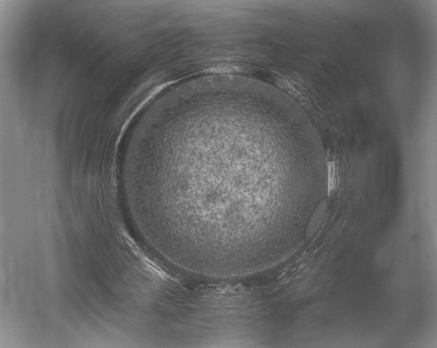 X0000057560243200509191429