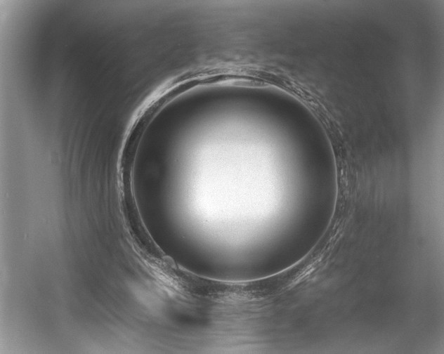 X0000057560246200509191429
